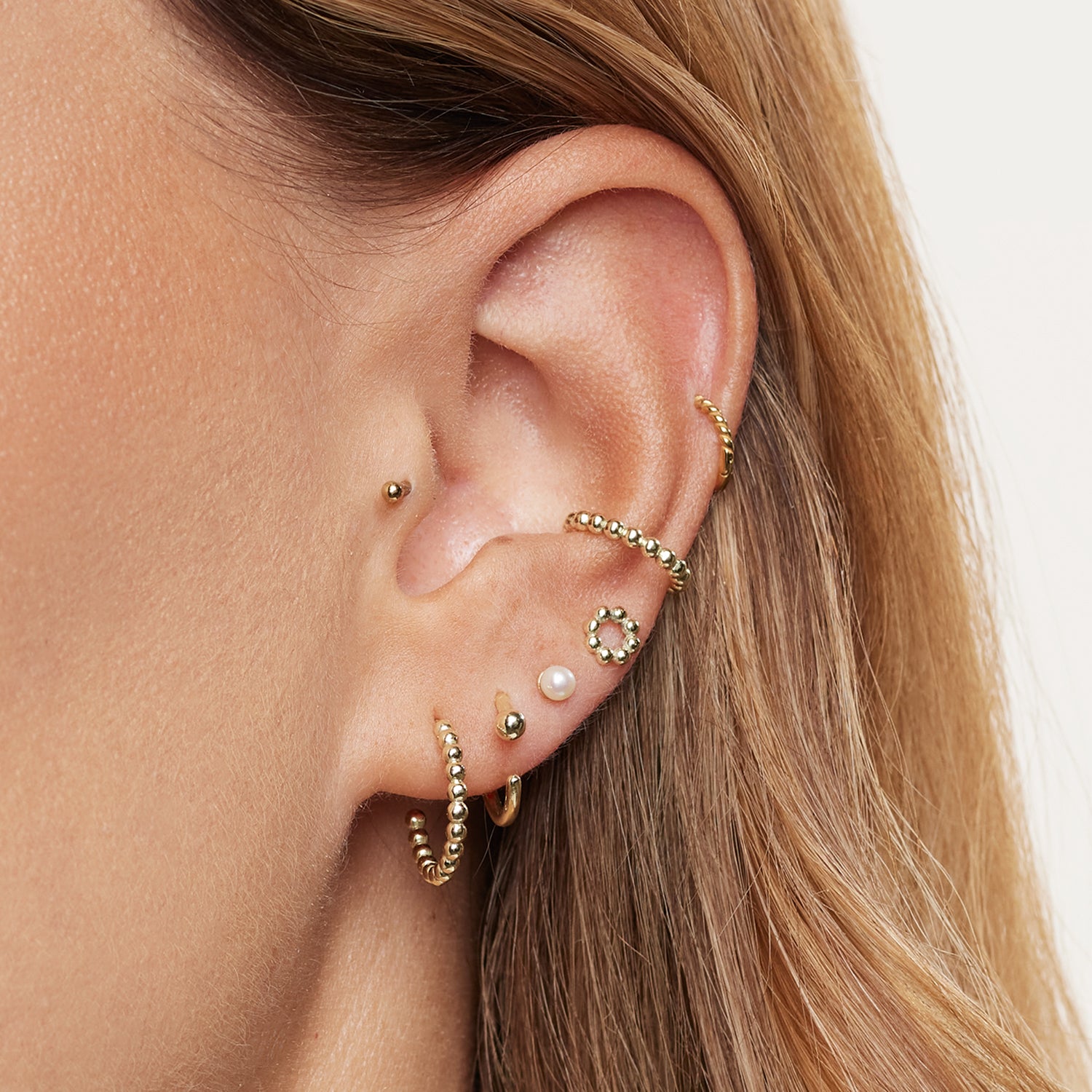 Ausschnitt eines Ohres einer Frau mit drei Ohrsteckern/Earcuffs aus kleinen, goldenen Kugeln, einem Ohrstecker mit einer weißen Perle, einem geraden, goldenen Earcuff, einem Ohrstecker aus kleinen, goldenen Kugeln in Kreisform;