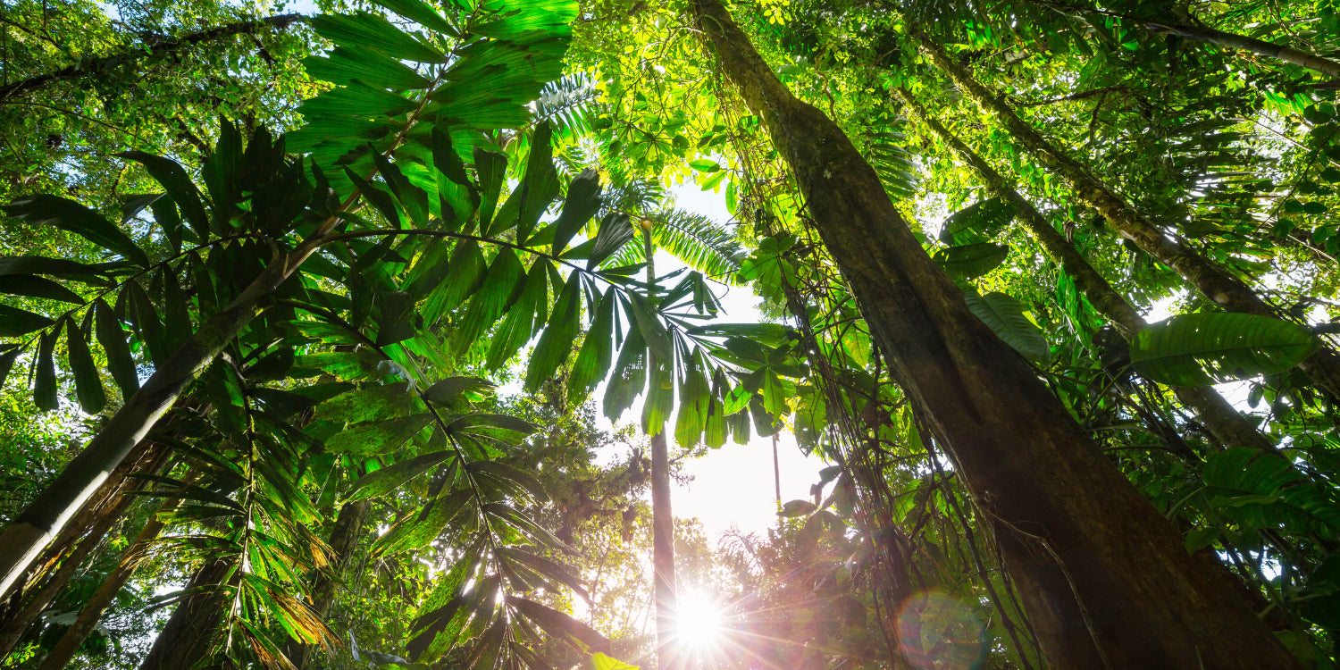 My Secret Paradise: Das Geheimnis der grünen Edelsteine - Eine Herzensbotschaft