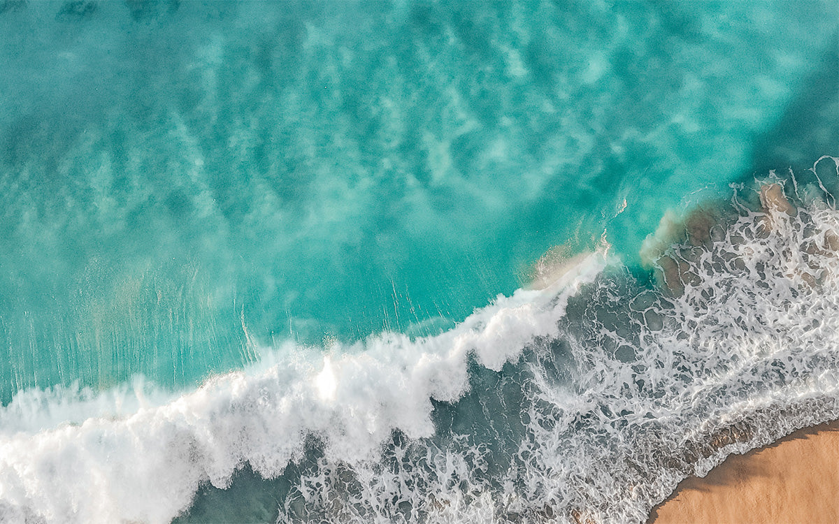 ol_category_header_desktop_v4.jpg